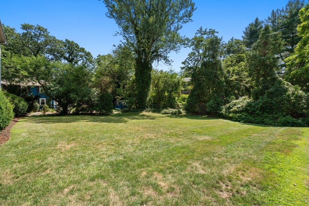 89 Walnut St #2, Newton, MA, 89 Walnut St #2, Newton, MA Photo #15