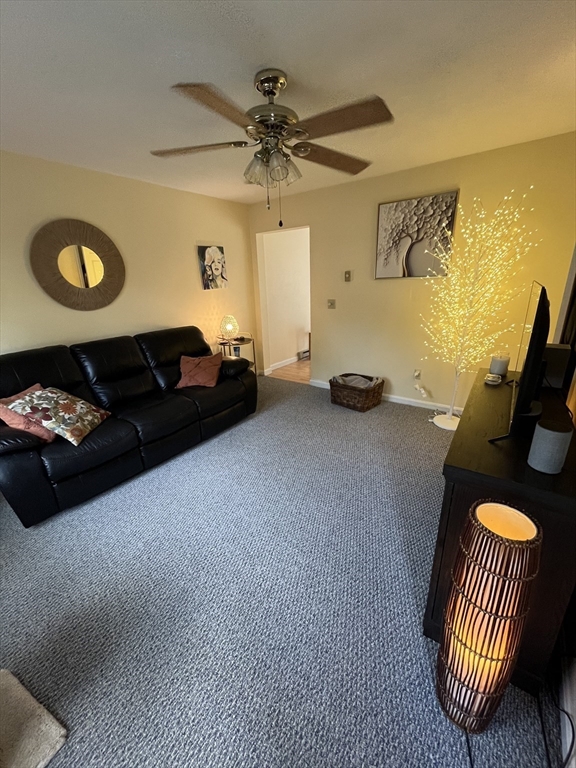 20 Greenwood Drive 10 (B)