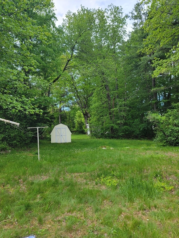 205 Ryan St