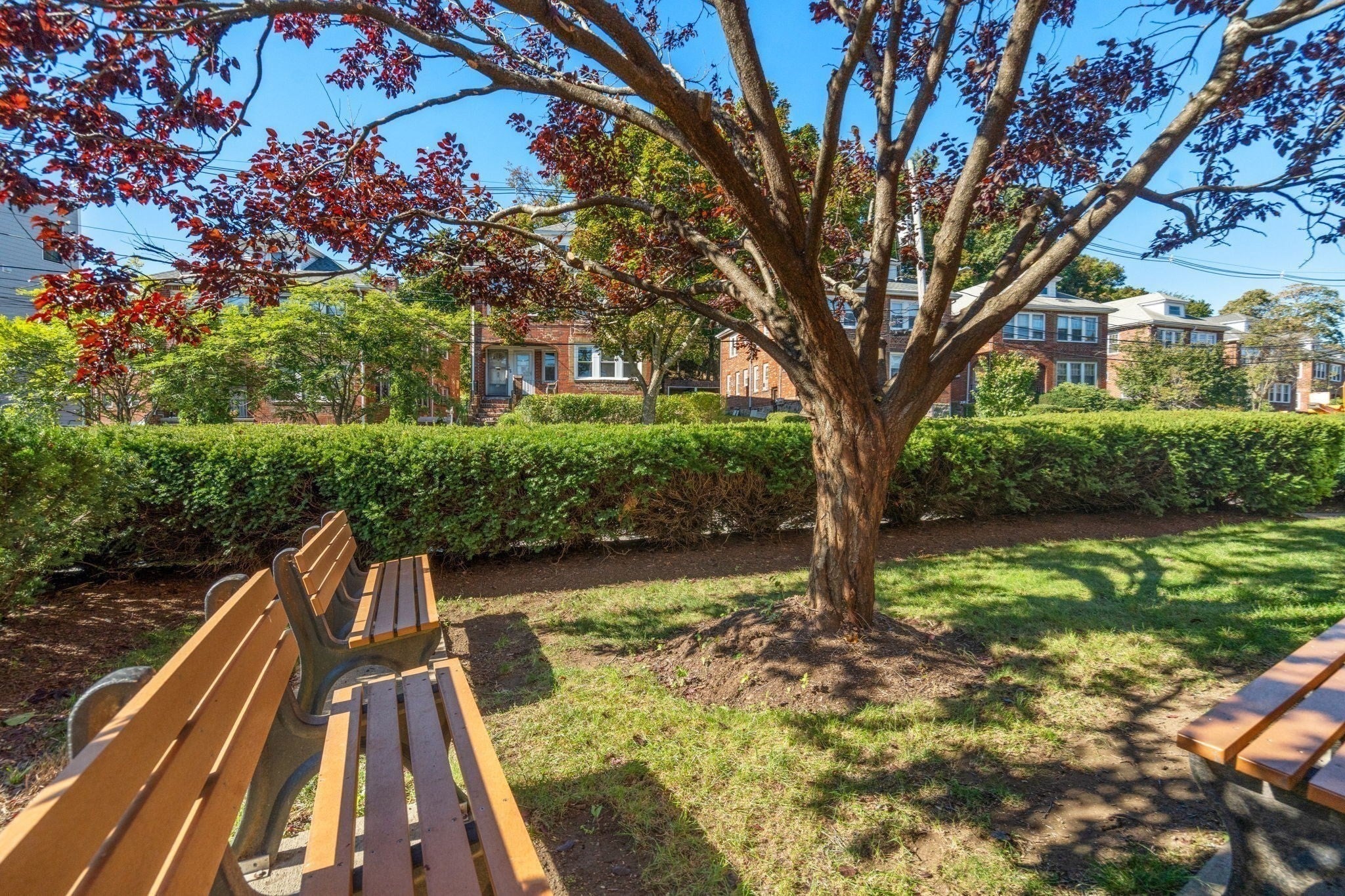 47 Colborne Rd #1, Boston, MA, 47 Colborne Rd #1, Boston, MA Photo #29