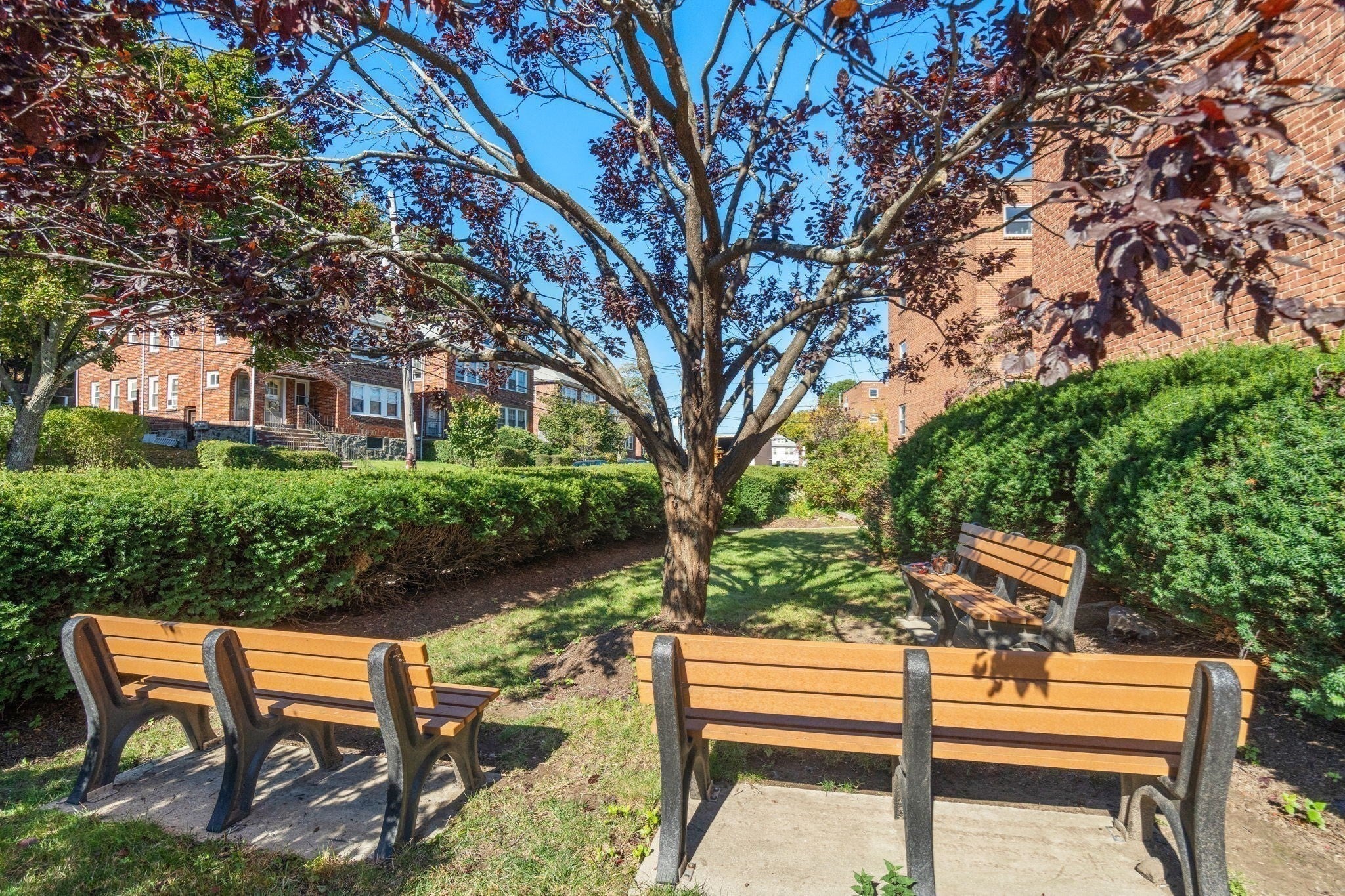 47 Colborne Rd #1, Boston, MA, 47 Colborne Rd #1, Boston, MA Photo #28