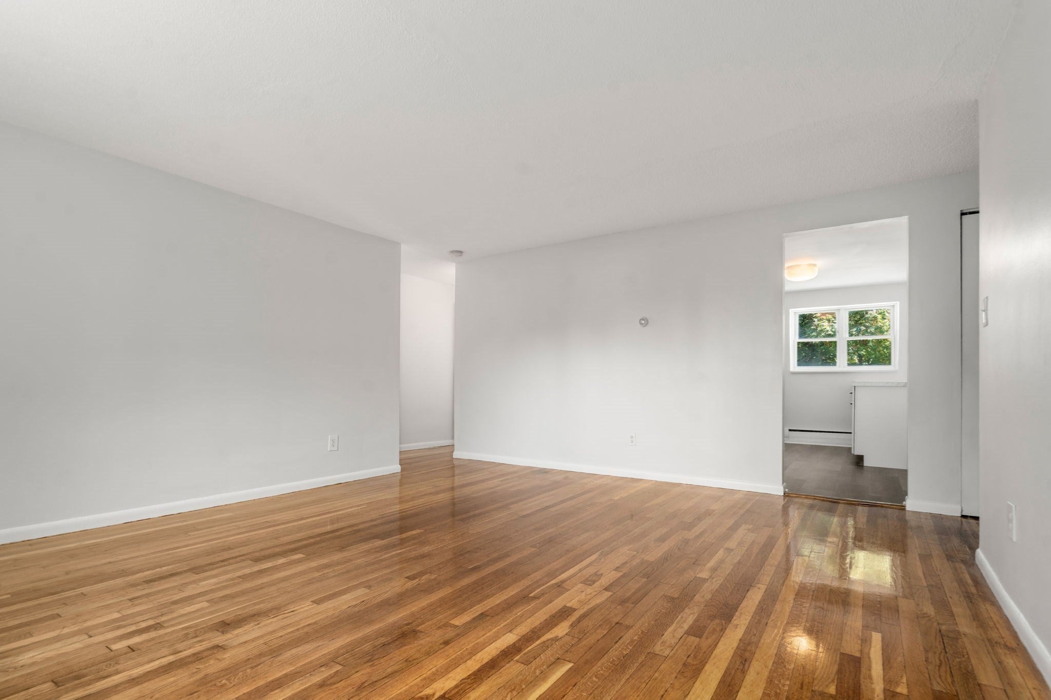 47 Colborne Rd #1, Boston, MA, 47 Colborne Rd #1, Boston, MA Photo #13