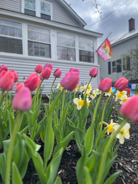 71 Washington St Greenfield MA 01301