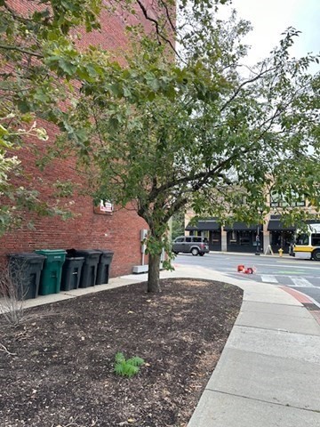 28 Main Street 1