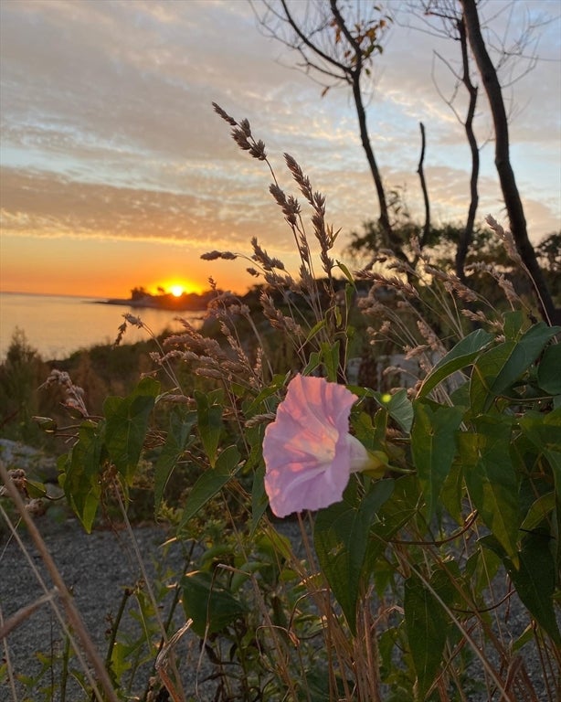 8 Marbee Rd, Rockport, MA, 8 Marbee Rd, Rockport, MA Photo #36