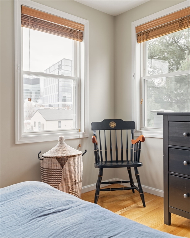 30 Concord Avenue #2, Somerville, MA Photo #21