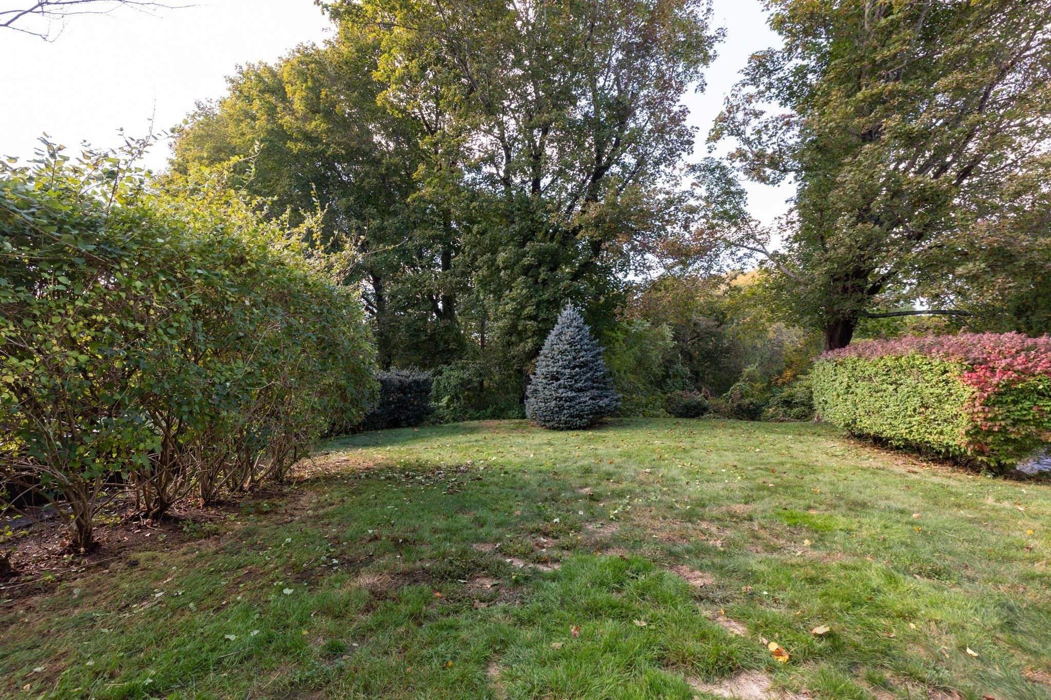 33 Stafford St, Plymouth, MA Photo #19