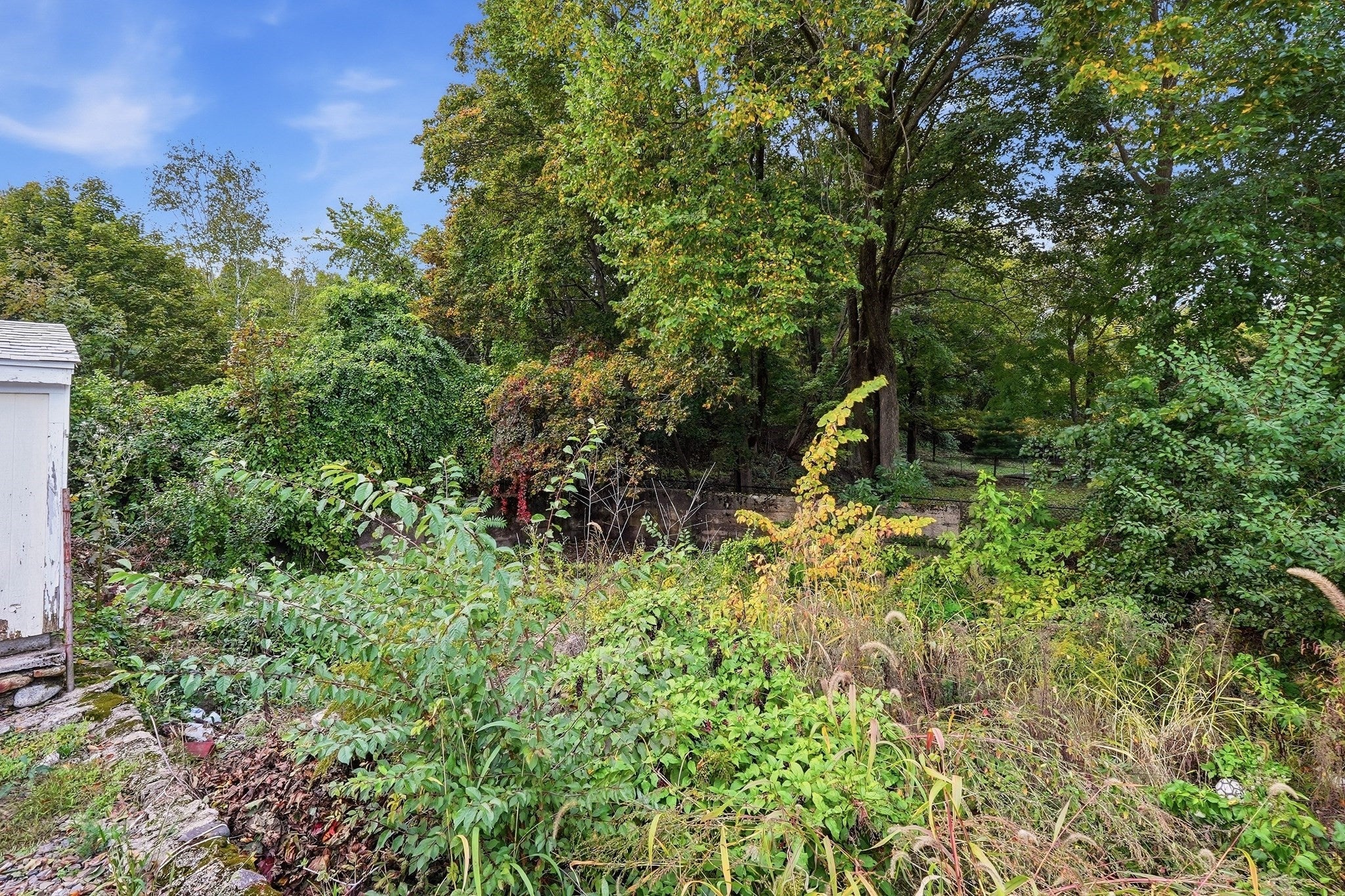 15 Mccarthy St, Franklin, MA Photo #35