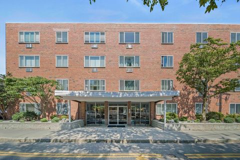 50 Green 411 Brookline MA 02446