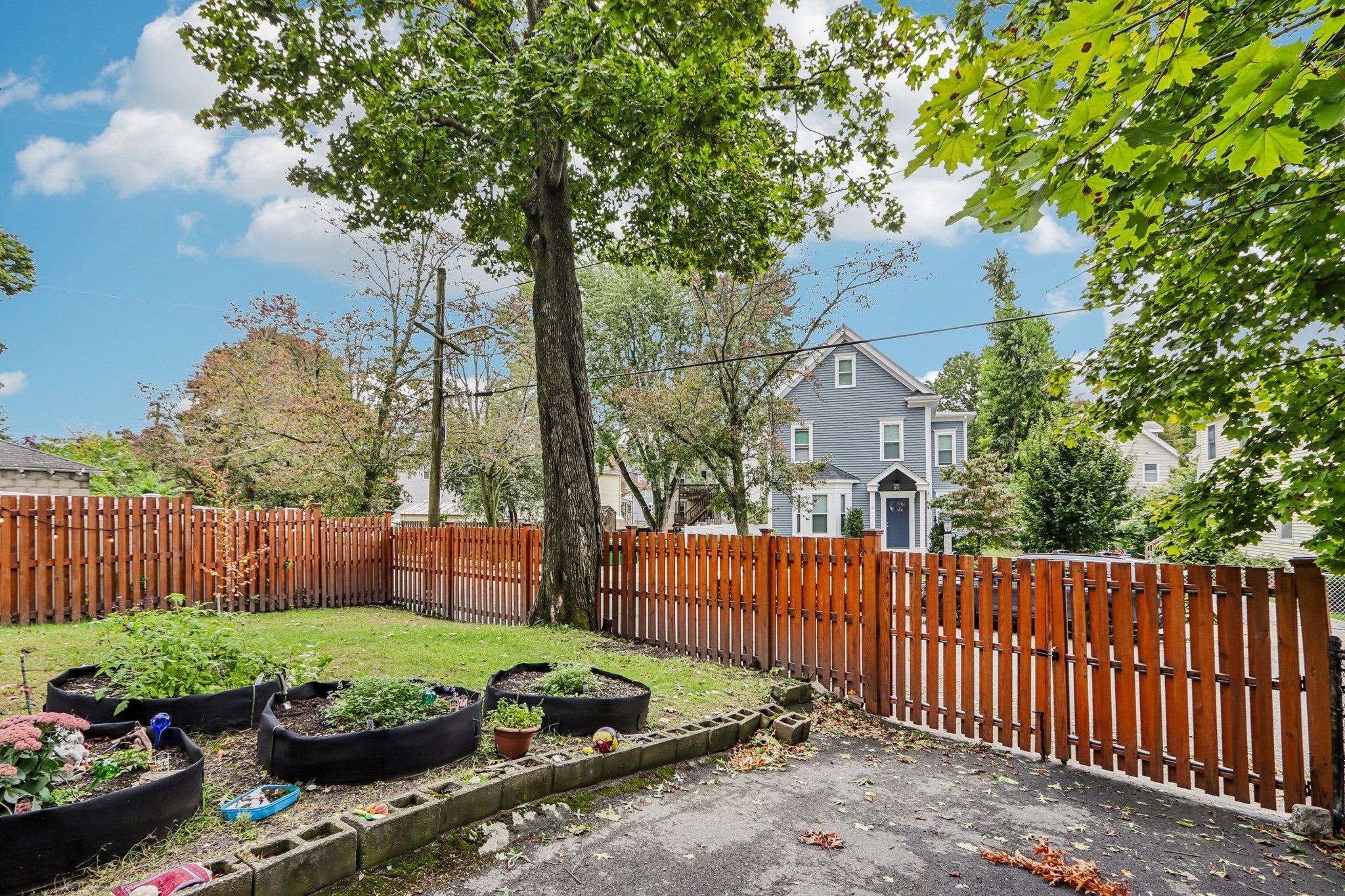 11 Sharon Street, Medford, MA, 11 Sharon Street, Medford, MA Photo #37