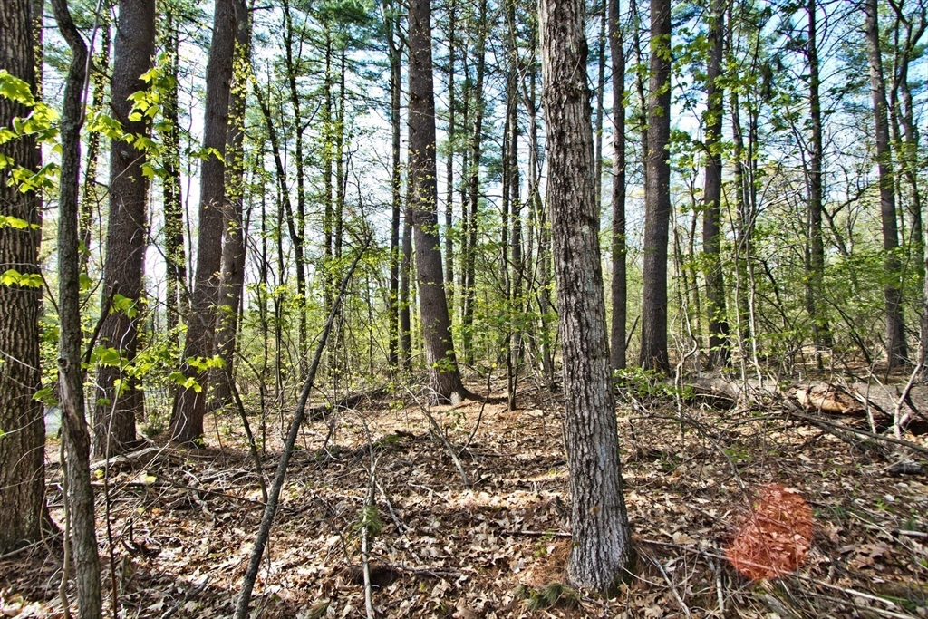 Lot B Kiwanis Beach Rd