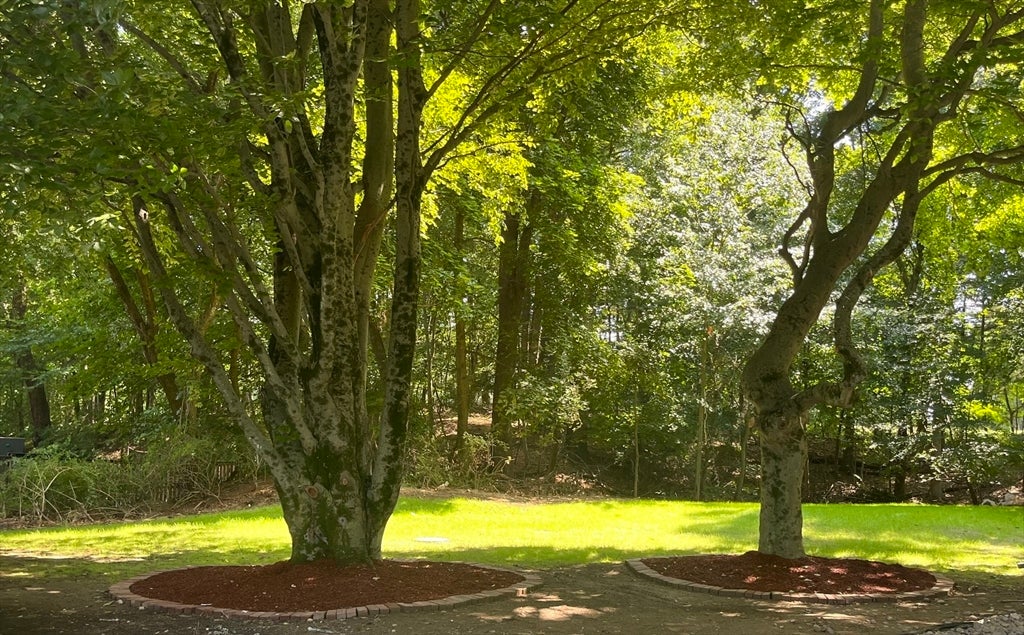 5 Carbrey Avenue, Sharon, MA, 5 Carbrey Avenue, Sharon, MA Photo #36
