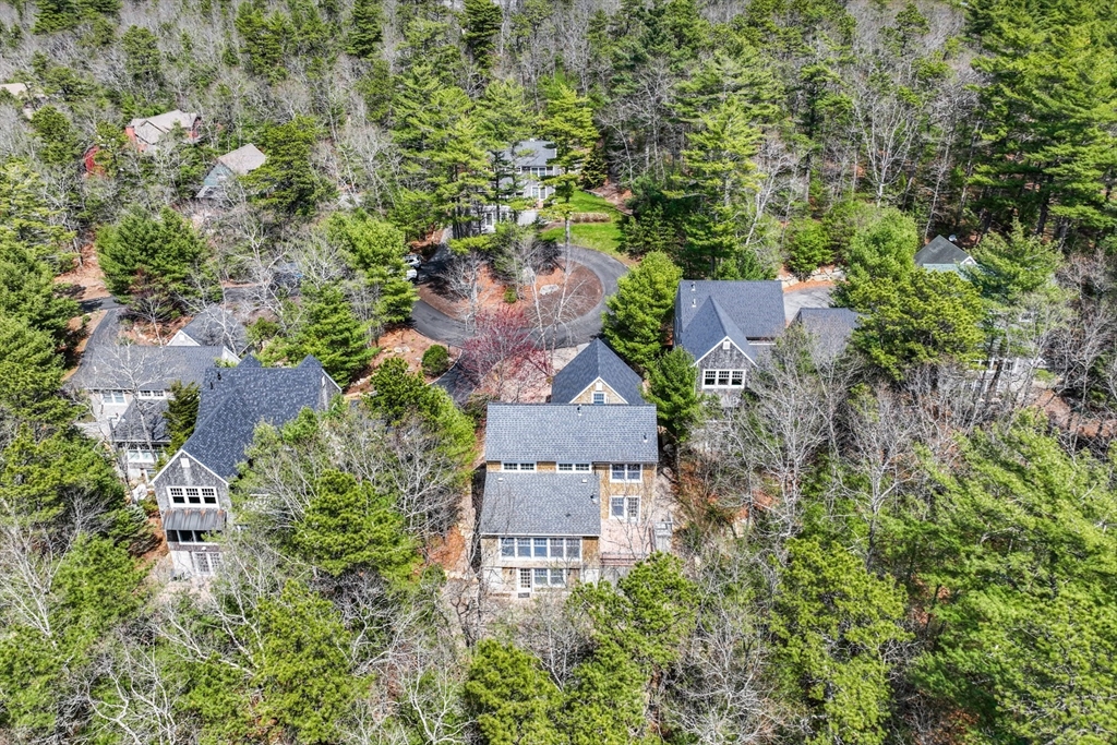 6 Hickorywood