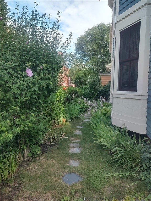 28 Mt. Auburn St #1, Cambridge, MA, 28 Mt. Auburn St #1, Cambridge, MA Photo #2