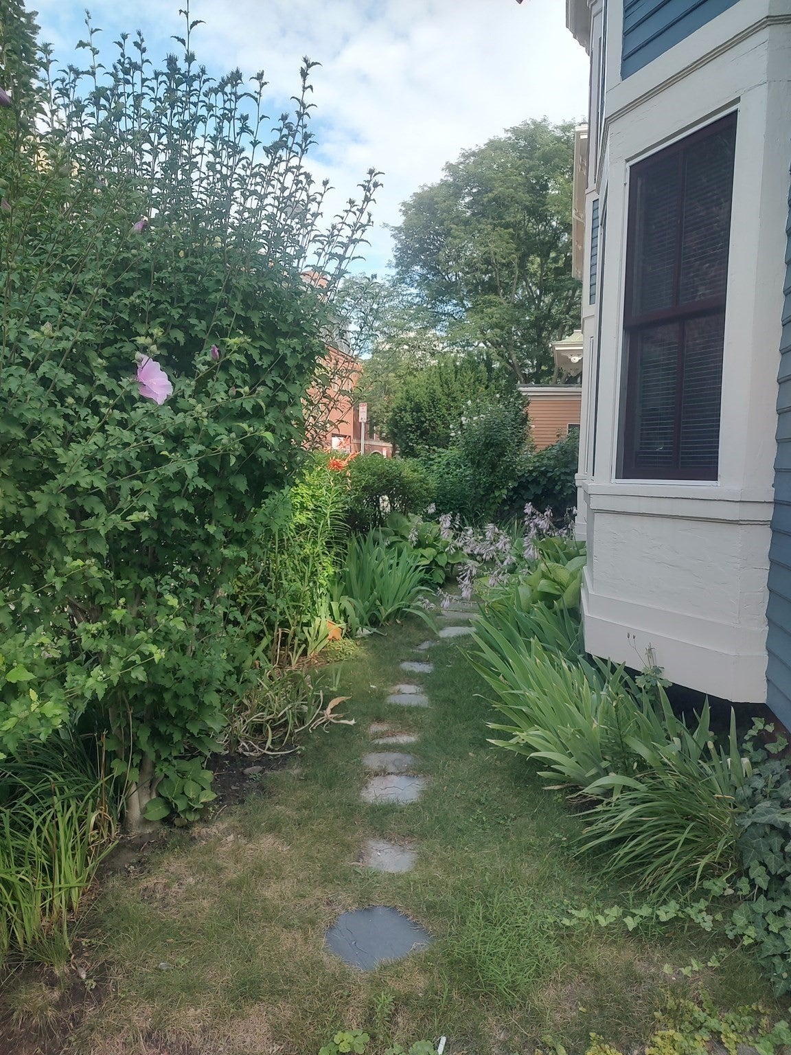 28 Mt. Auburn St #1, Cambridge, MA, 28 Mt. Auburn St #1, Cambridge, MA Photo #2
