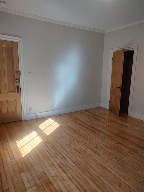 28 Mt. Auburn St #1, Cambridge, MA, 28 Mt. Auburn St #1, Cambridge, MA Photo #5
