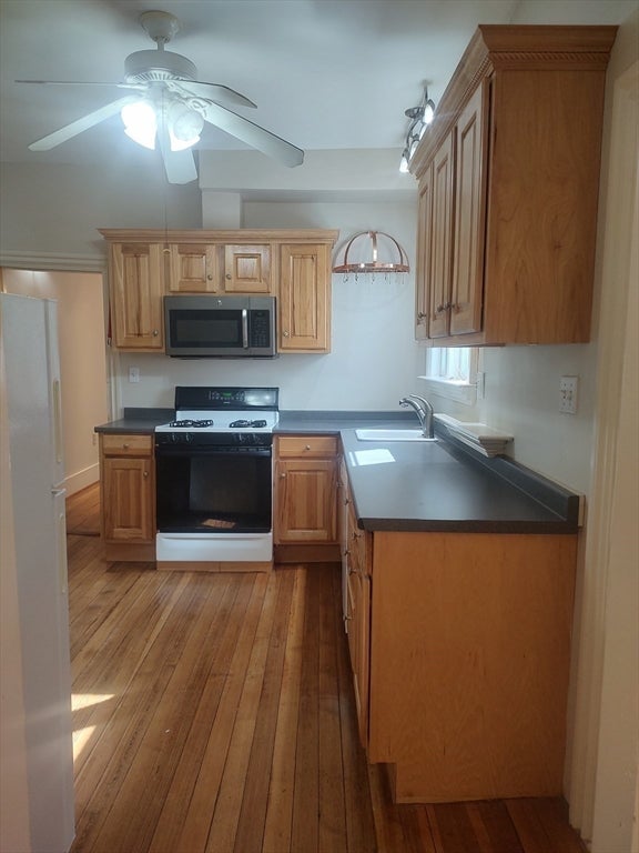 28 Mt. Auburn St #1, Cambridge, MA, 28 Mt. Auburn St #1, Cambridge, MA Photo #7