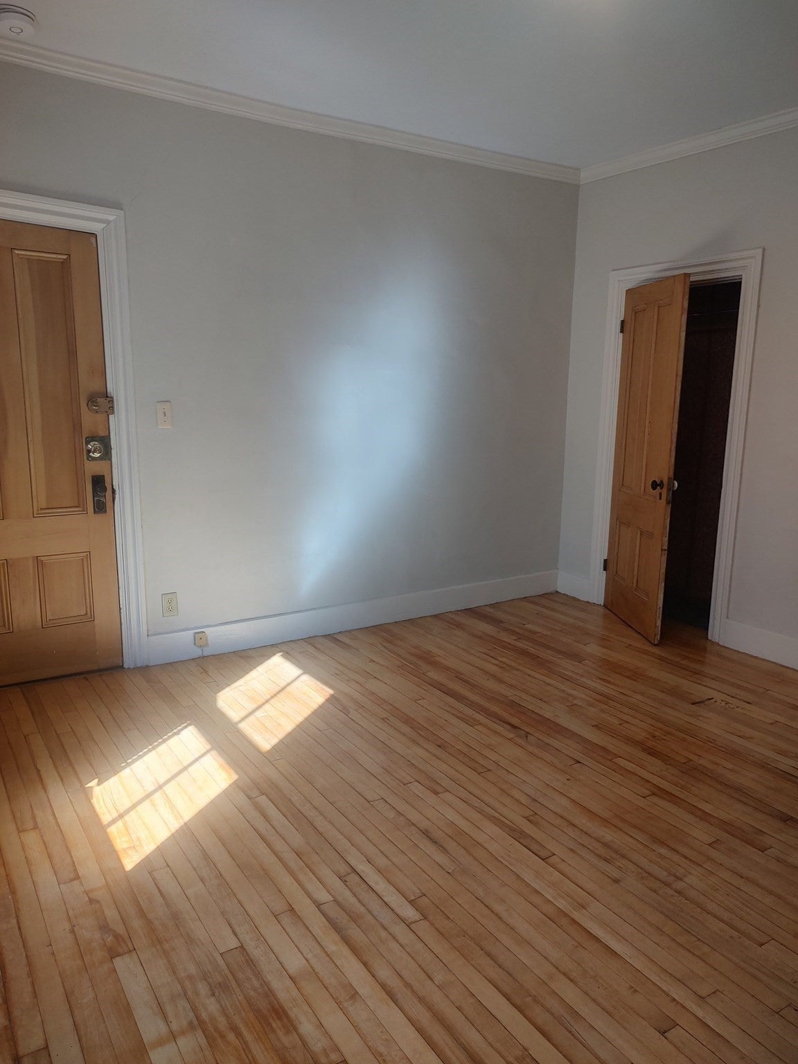28 Mt. Auburn St #1, Cambridge, MA, 28 Mt. Auburn St #1, Cambridge, MA Photo #5