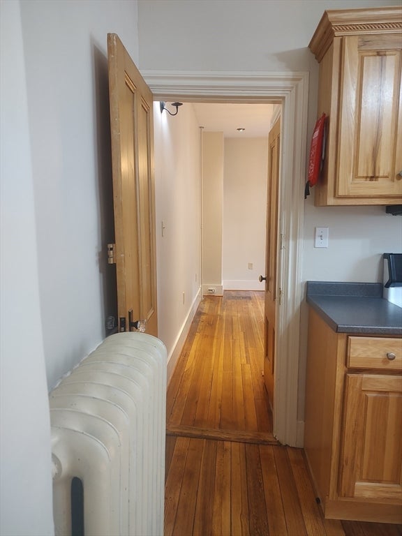 28 Mt. Auburn St #1, Cambridge, MA, 28 Mt. Auburn St #1, Cambridge, MA Photo #10