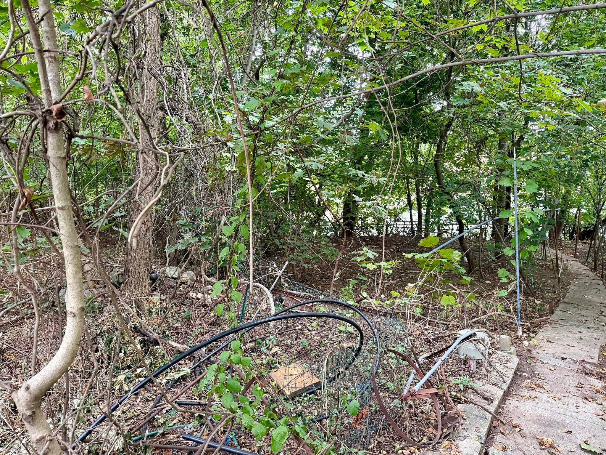 25 Lyons Ct, Watertown, MA, 25 Lyons Ct, Watertown, MA Photo #6