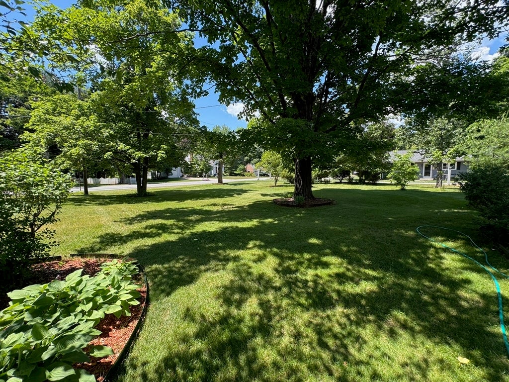 79 Adams St, Medfield, MA, 79 Adams St, Medfield, MA Photo #13