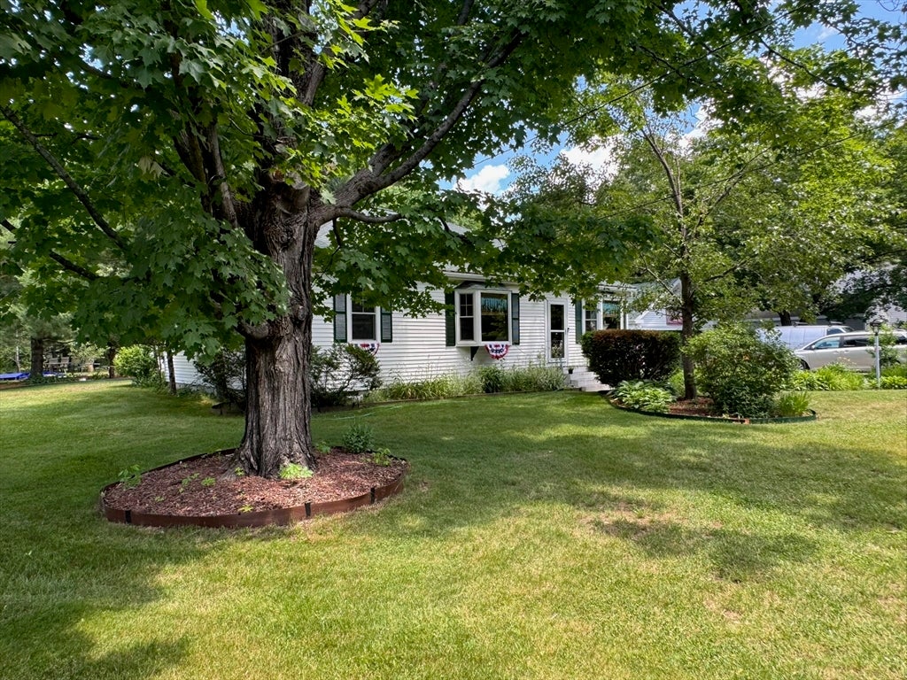 79 Adams St, Medfield, MA, 79 Adams St, Medfield, MA Photo #17