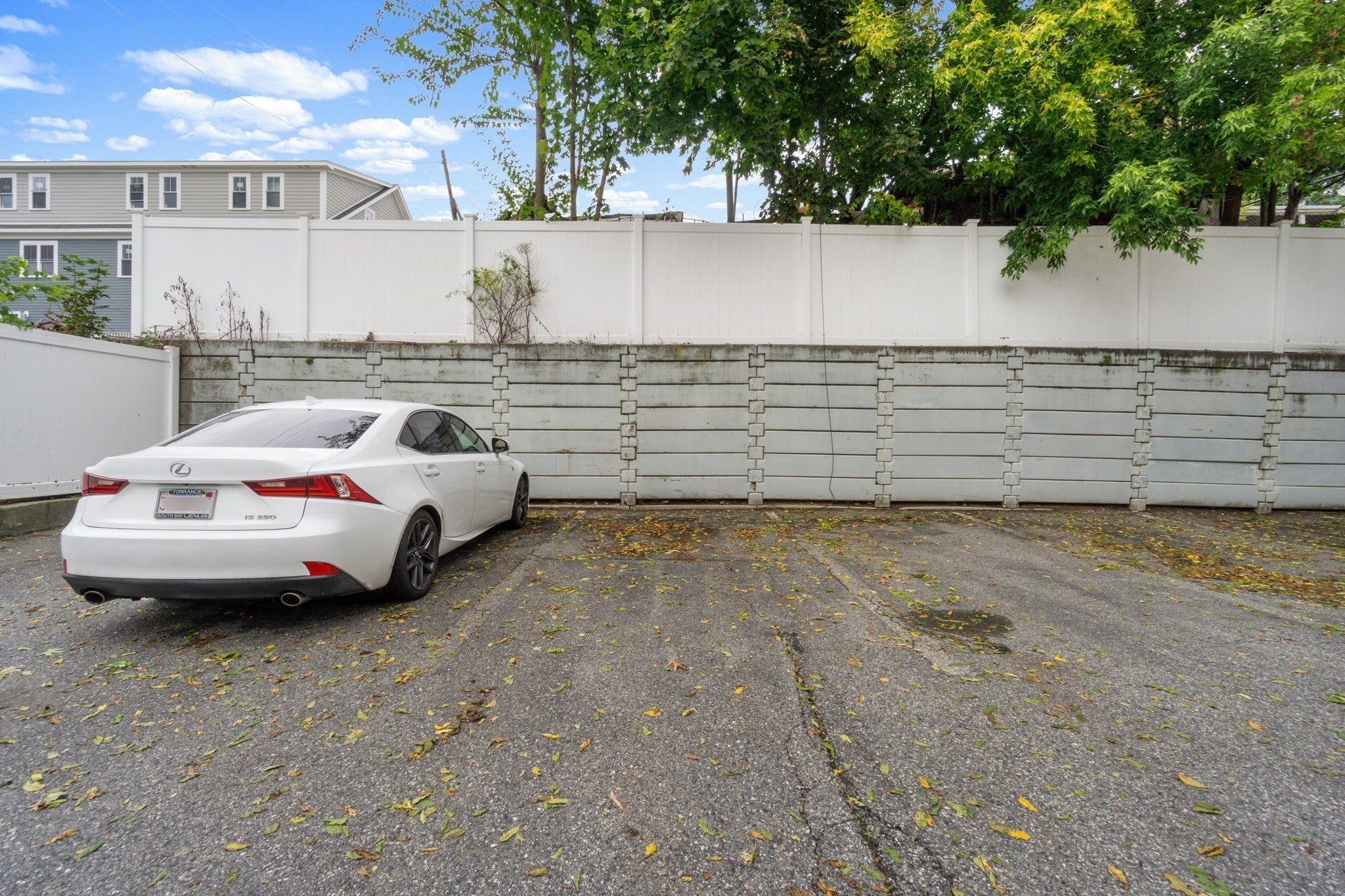 48 Coffey St #1A, Boston, MA, 48 Coffey St #1A, Boston, MA Photo #10