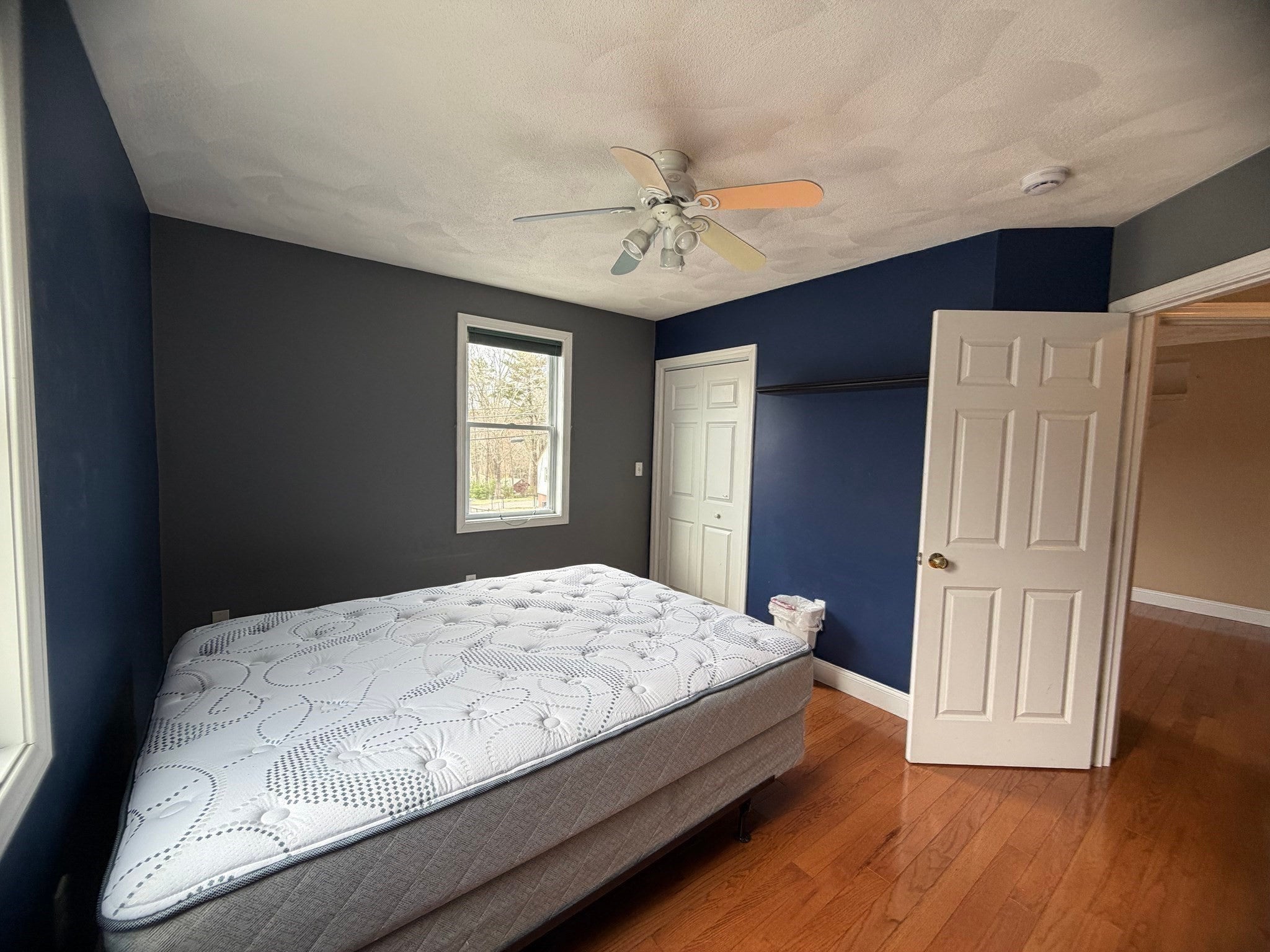 81 N Main St, Bellingham, MA Photo #23