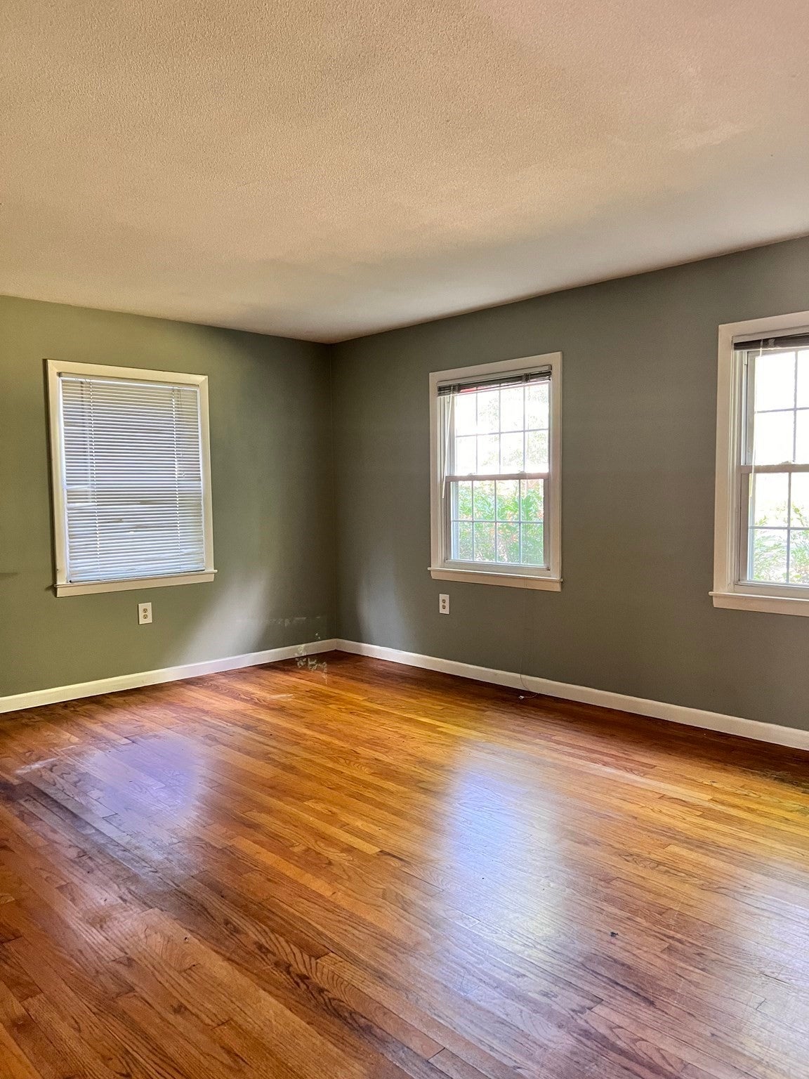 319 West St, Amherst, MA, 319 West St, Amherst, MA Photo #8