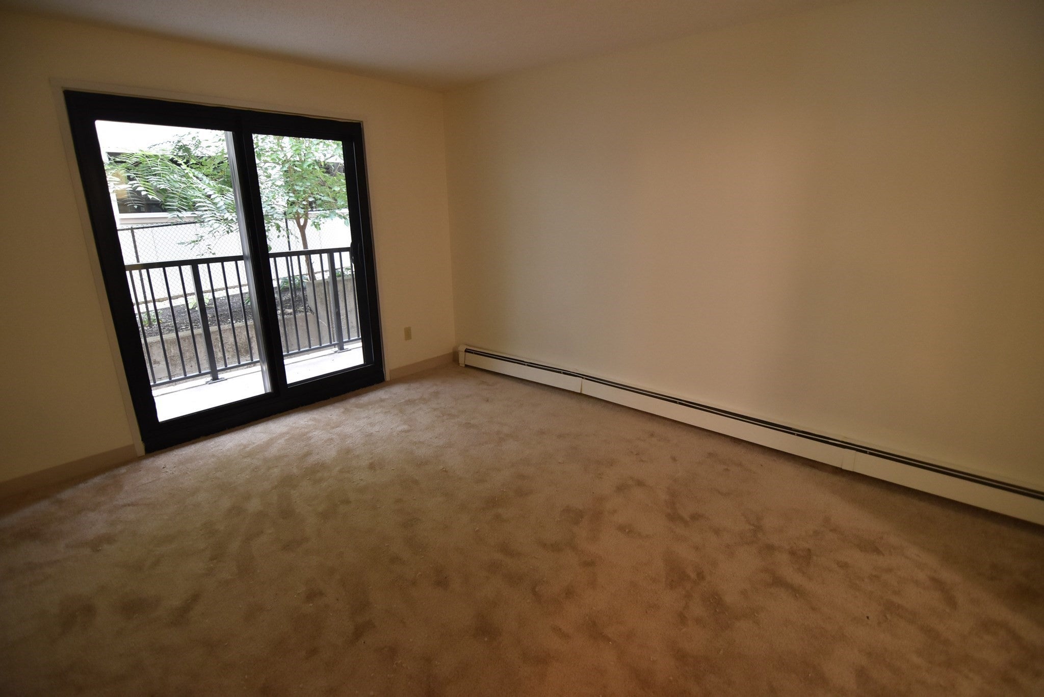 49 Marion ST #1B, Brookline, MA, 49 Marion ST #1B, Brookline, MA Photo #5