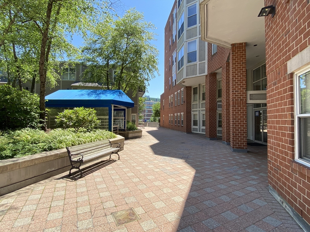 20 Chestnut St #304, Cambridge, MA Photo #16