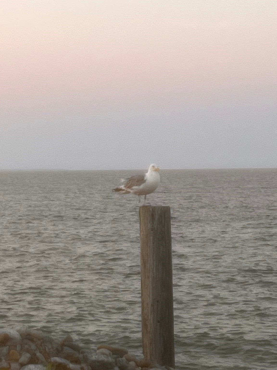 49 East Beach Rd