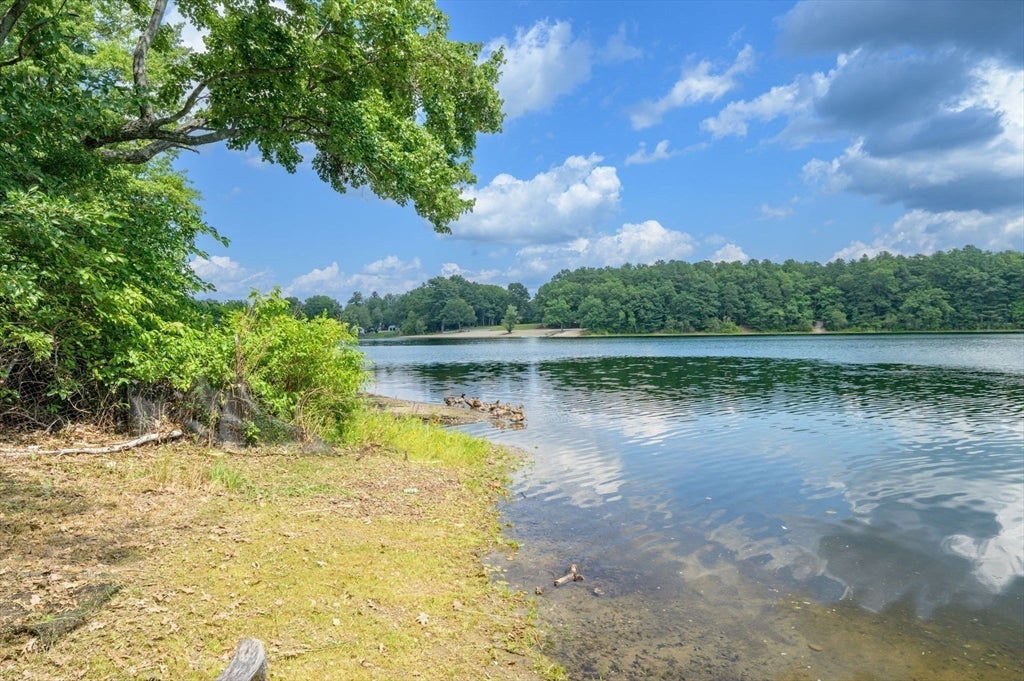 180 Lake Dr, Springfield, MA, 180 Lake Dr, Springfield, MA Photo #33