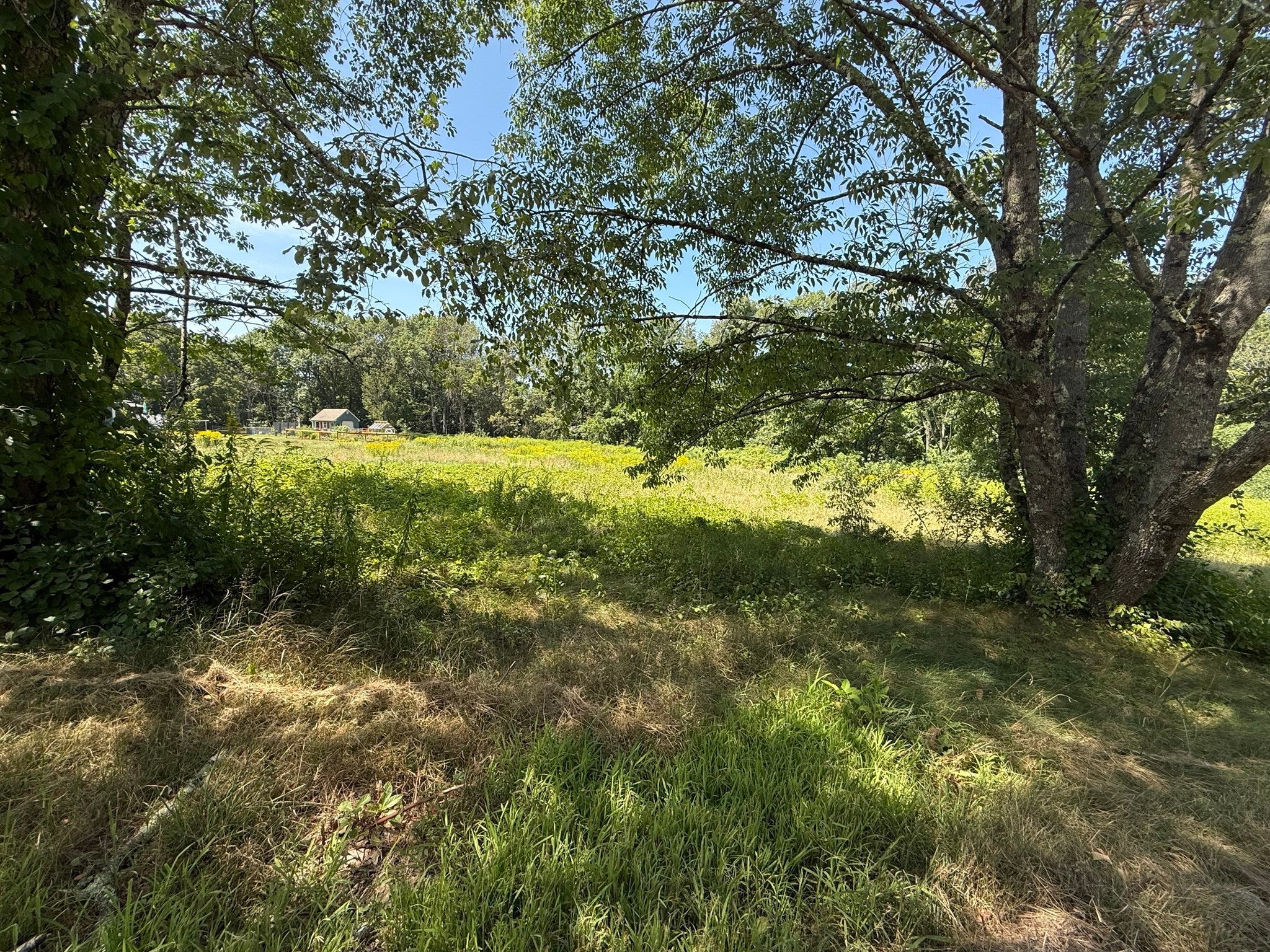 Lot 11 Pleasantdale Rd