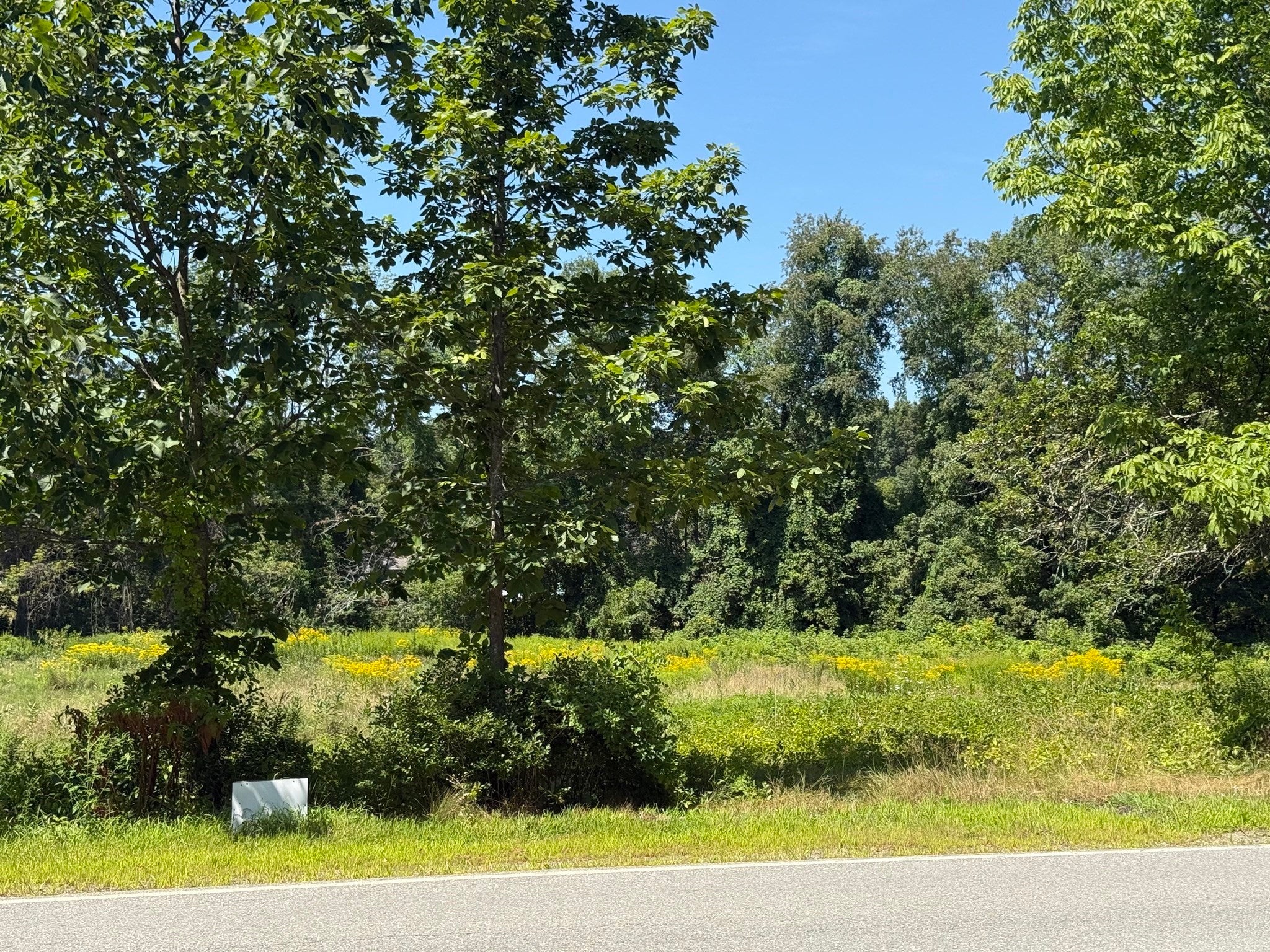 Lot 11 Pleasantdale Rd