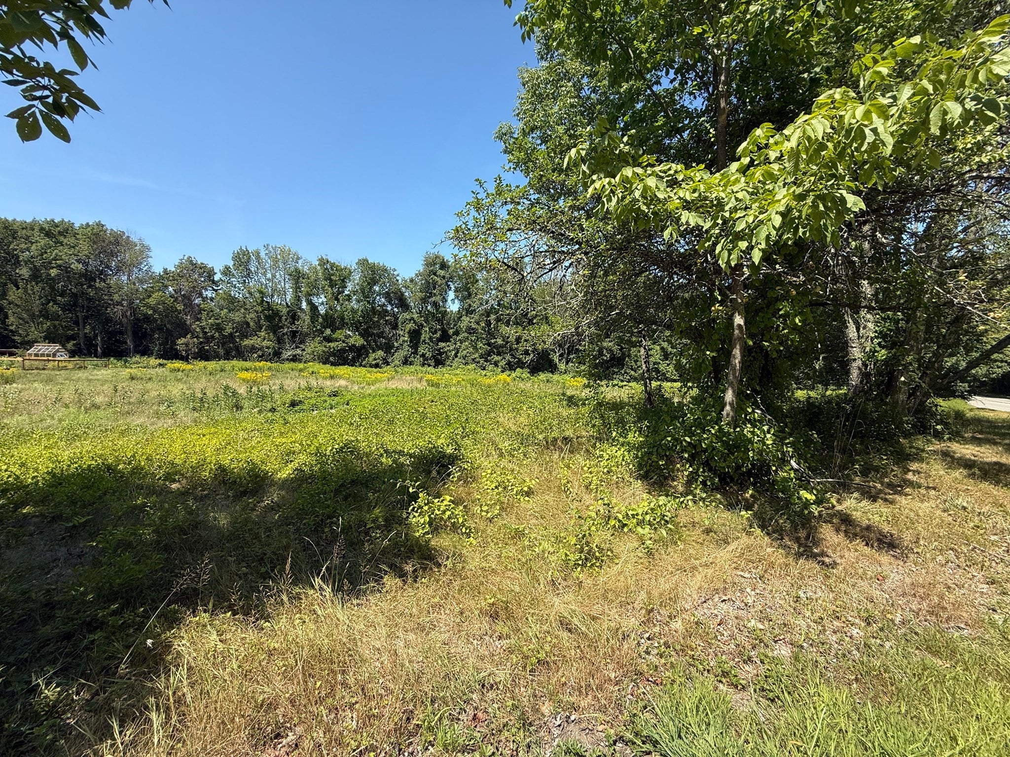 Lot 11 Pleasantdale Rd