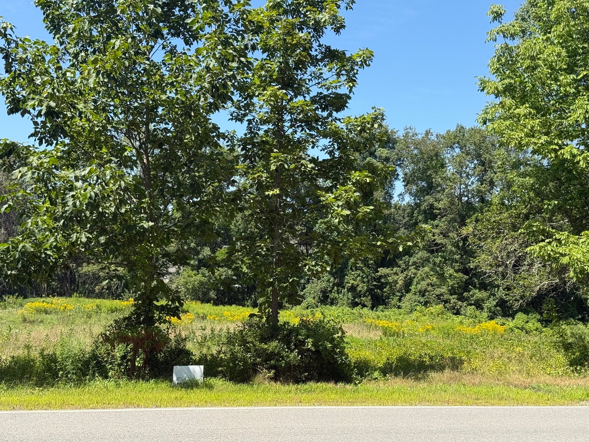 Lot 11 Pleasantdale Rd