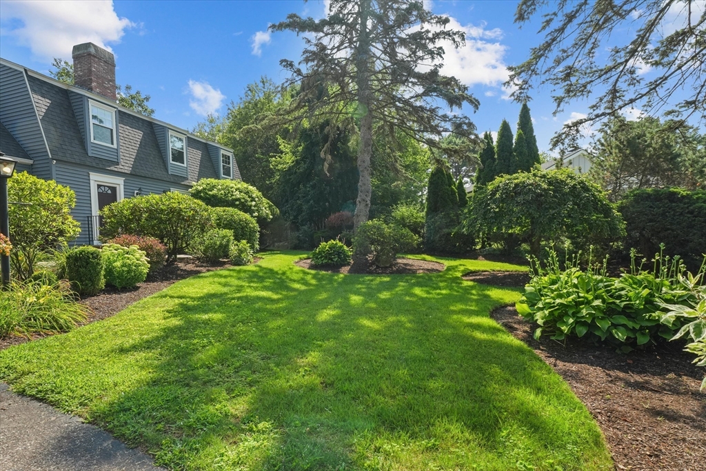 85 Rosewood Dr