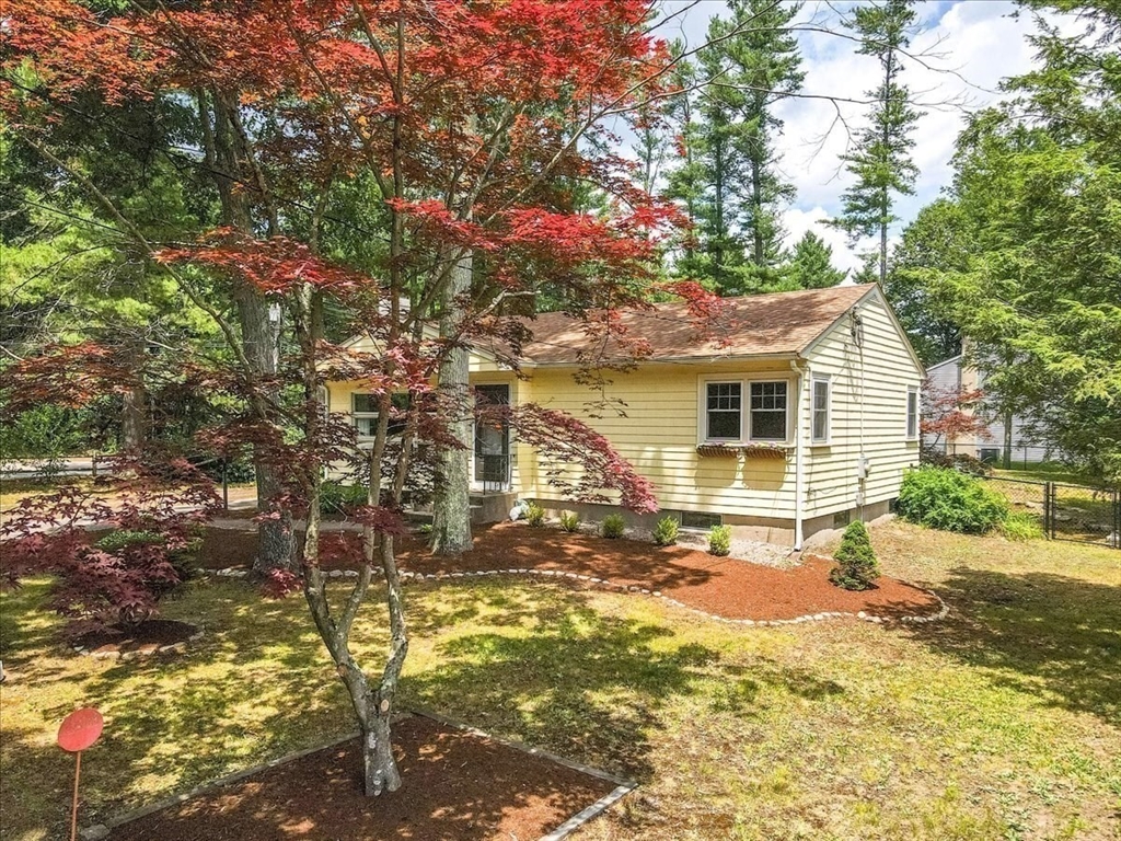 47 Pine Grove Avenue
