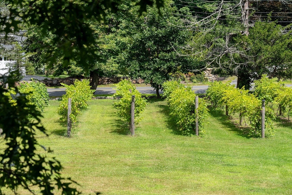 11 Marbleridge Rd, North Andover, MA, 11 Marbleridge Rd, North Andover, MA Photo #7