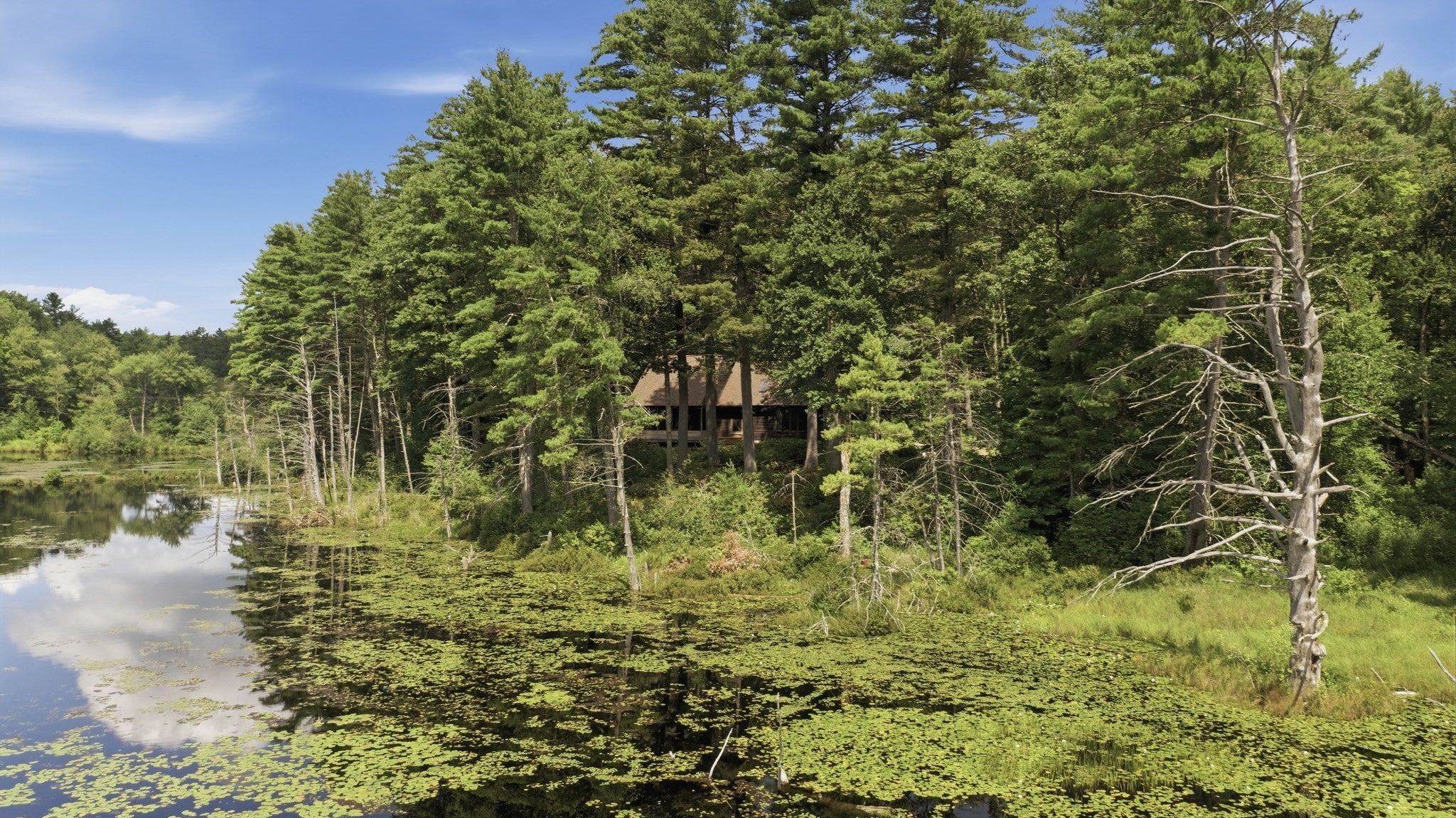 488 White Rd, Warwick, MA Photo #40