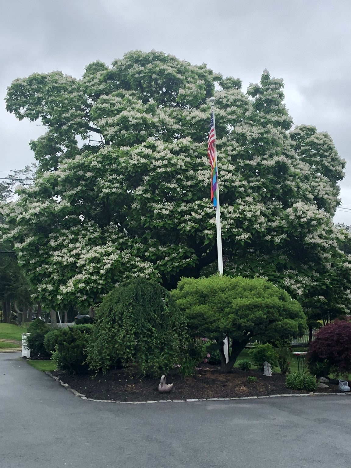 510 Prospect Street, Methuen, MA, 510 Prospect Street, Methuen, MA Photo #12