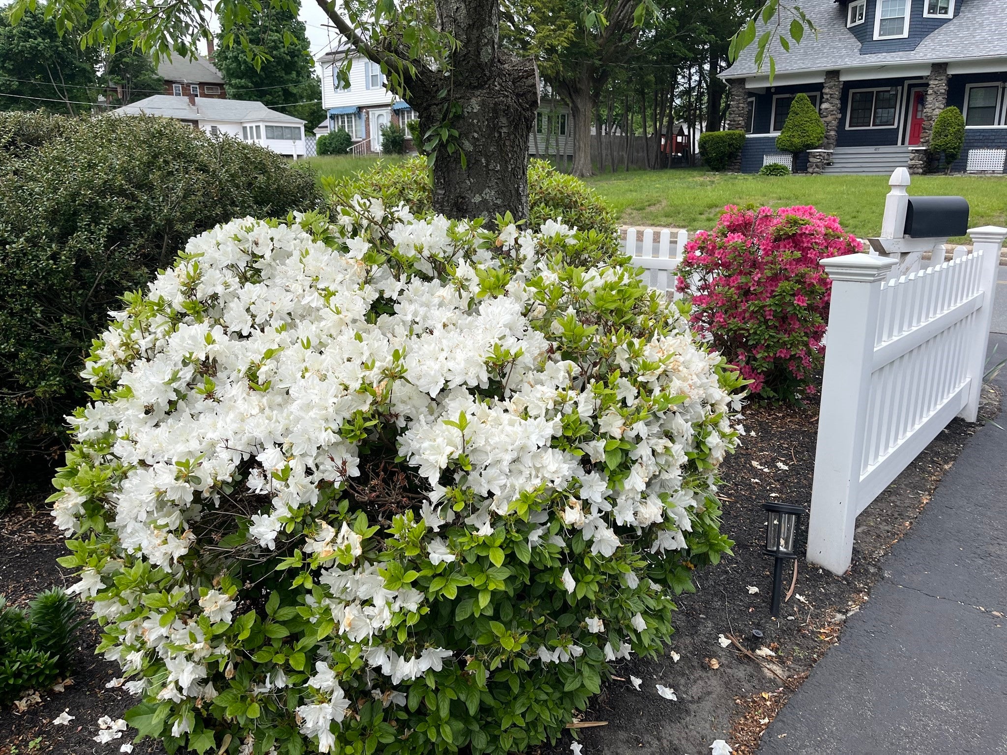 510 Prospect Street, Methuen, MA, 510 Prospect Street, Methuen, MA Photo #16