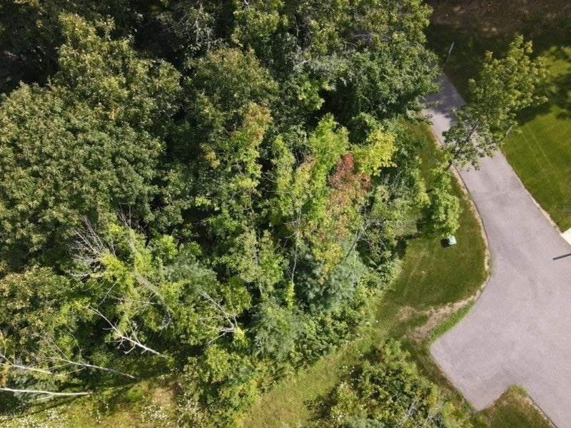 4B Mccarthy Rd, North Brookfield, MA, 4B Mccarthy Rd, North Brookfield, MA Photo #38
