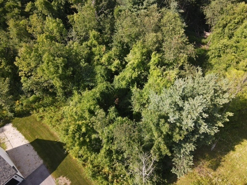 4B Mccarthy Rd, North Brookfield, MA, 4B Mccarthy Rd, North Brookfield, MA Photo #39