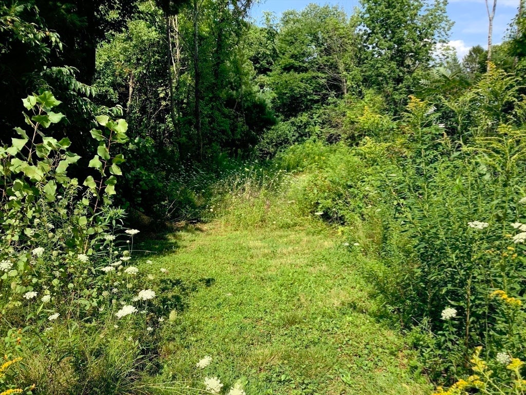 4B Mccarthy Rd, North Brookfield, MA, 4B Mccarthy Rd, North Brookfield, MA Photo #37