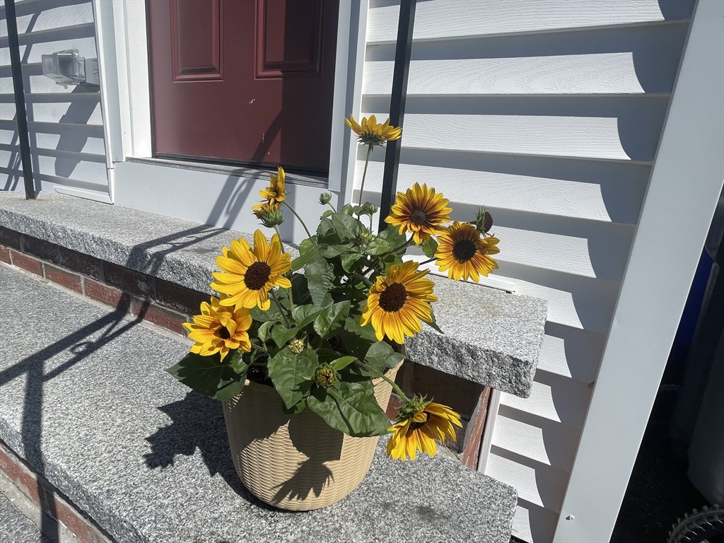 6 Poplar Street
