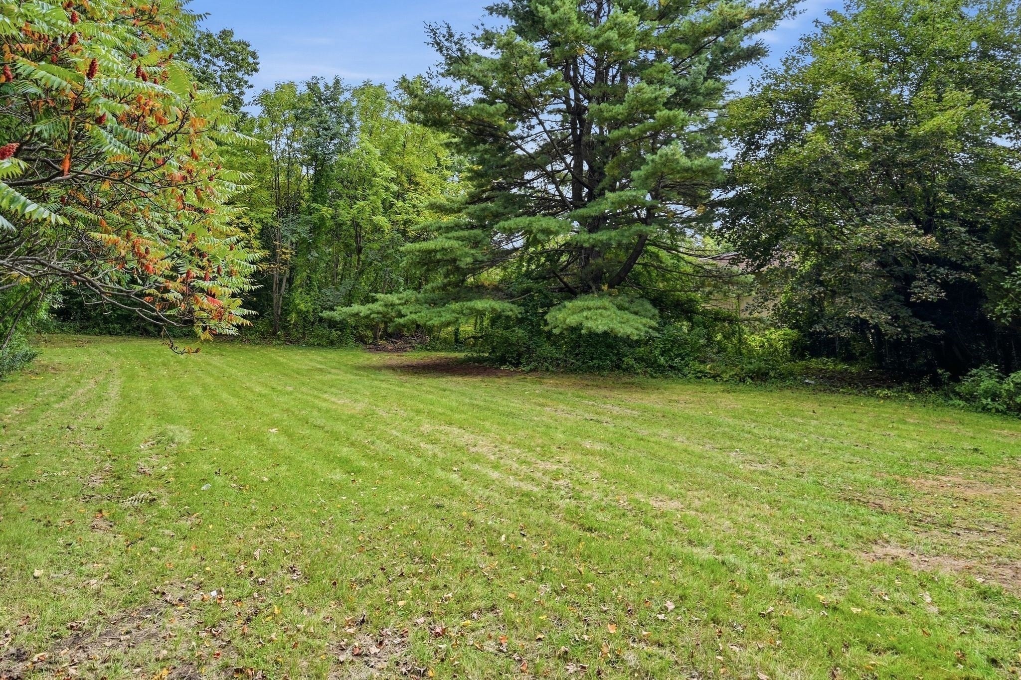 74 S Maple St, Westfield, MA, 74 S Maple St, Westfield, MA Photo #32