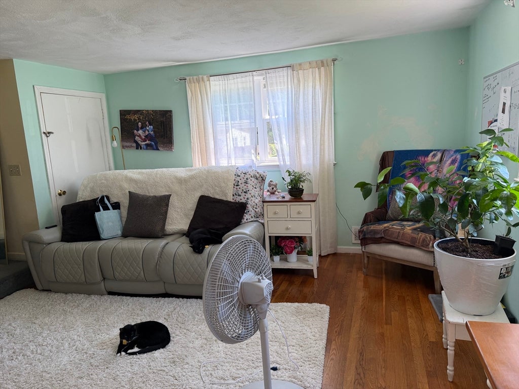 55-59 Hoover Rd, Walpole, MA Photo #21