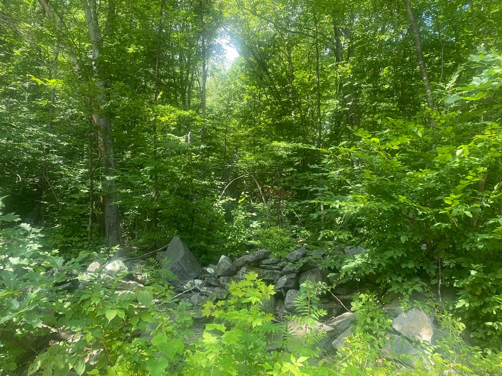 Tract 7 Delargy Rd